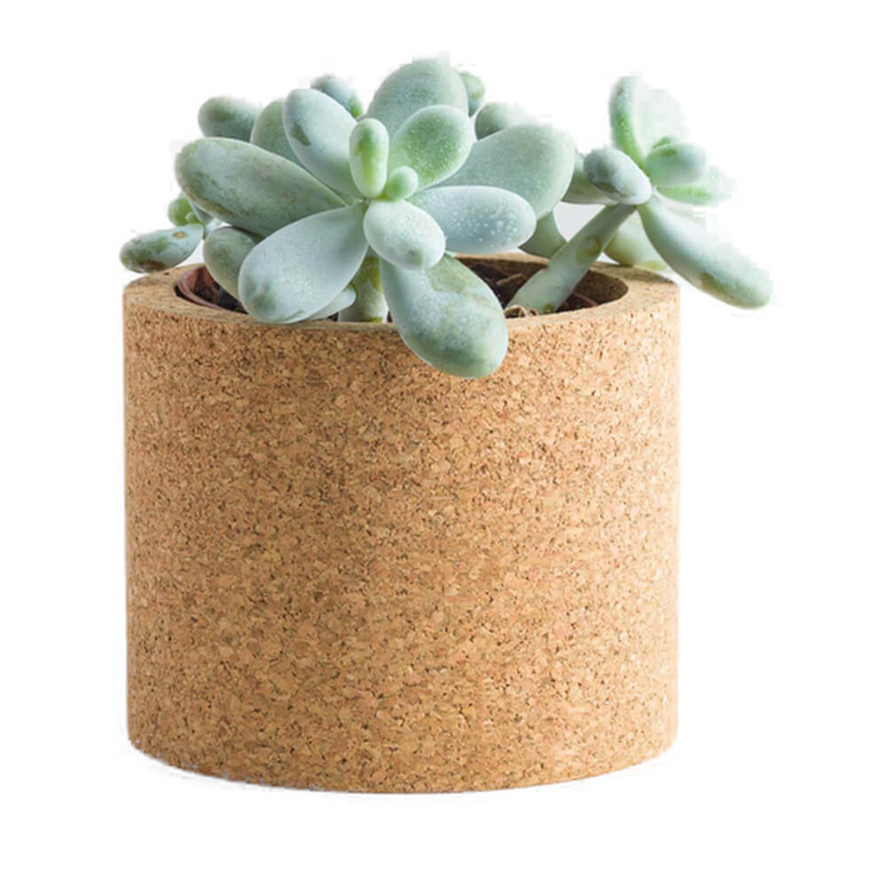 cork-planter-round-4-inch-01-1000×1000